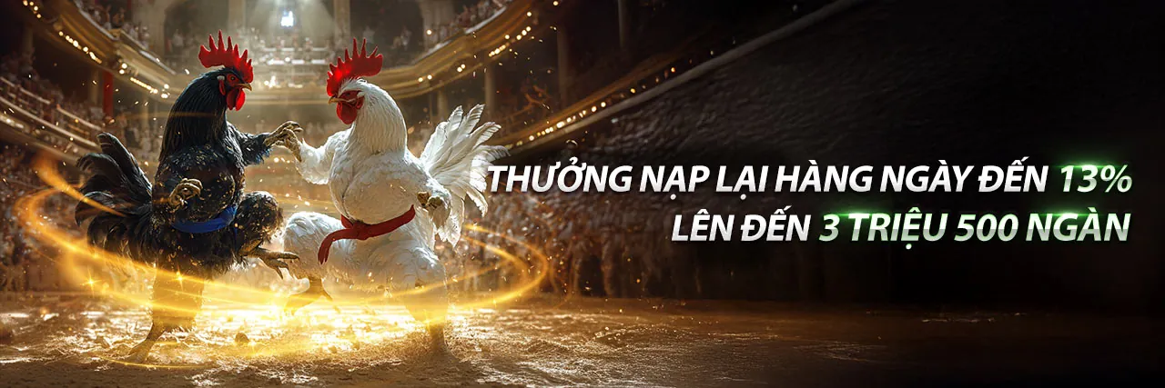 Đa dạng sản phẩm giải trí T8BET